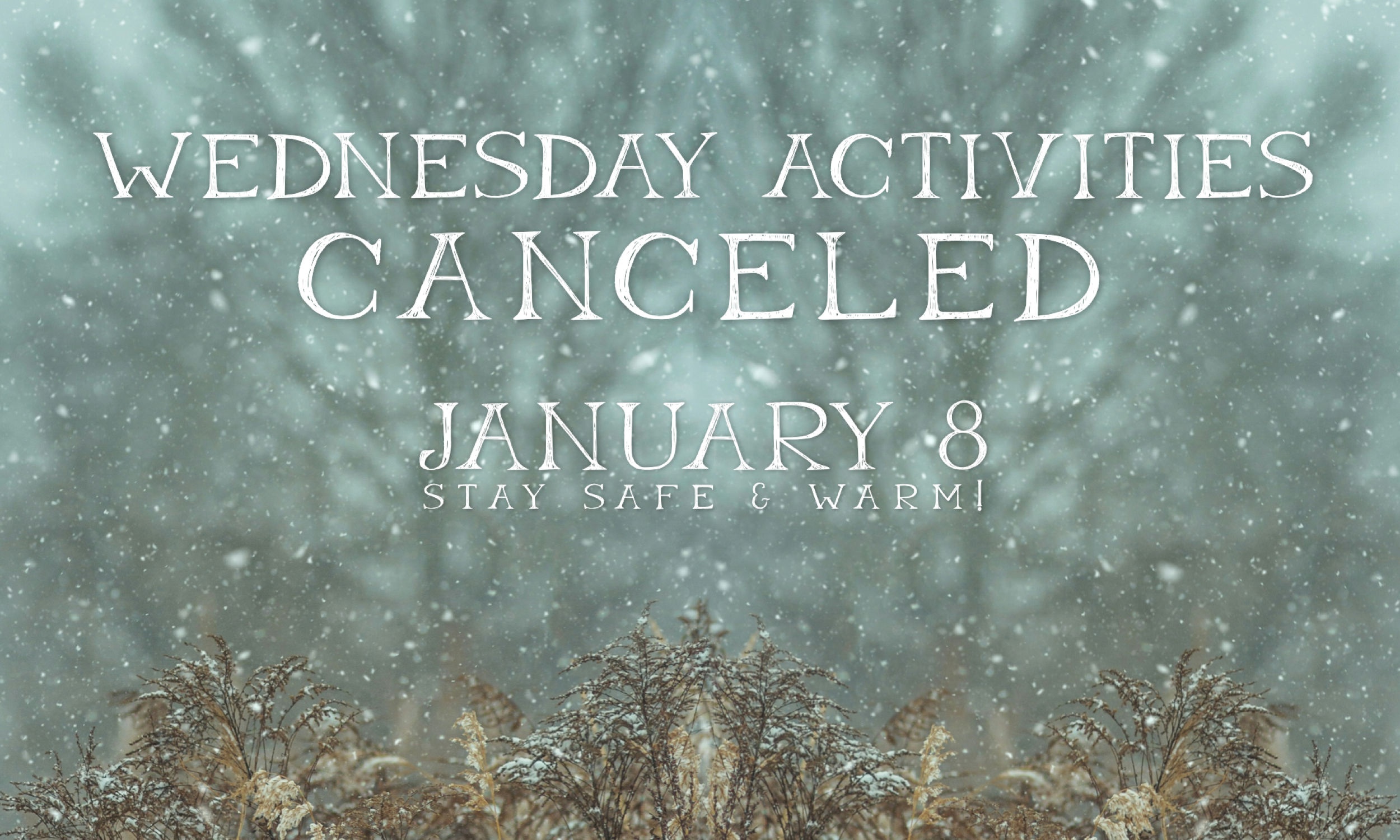 Wednesday Activities-January 8